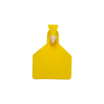 پلێتی بچووکی تاکە گوێ (گوێدرێژ) پێرگاس