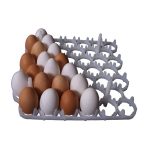 پارس، مۆدێلی PT-402، 42 شانەی هێلکە