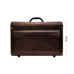 کیسەیەکی گەورەی ڤێتێرنەری قاوەیی