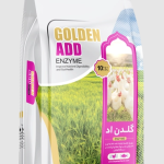 ئەنزیمەکانی بێتا گلوکاناز