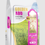 ئەنزیمەکانی زایلاناز