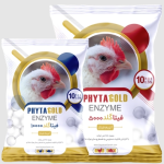 ئەنزیمی فیتاز فیتالۆد 10000