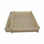 جێنتری بەخێوکردنی شاژن