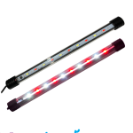 سپی و پەمەیی زنجیرەی T4 LED Jingi