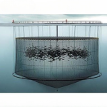 قەفەزی بەخێوکردنی ماسی