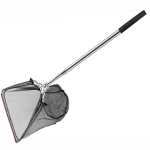 بەخێوکردنی ماسی ساچوک